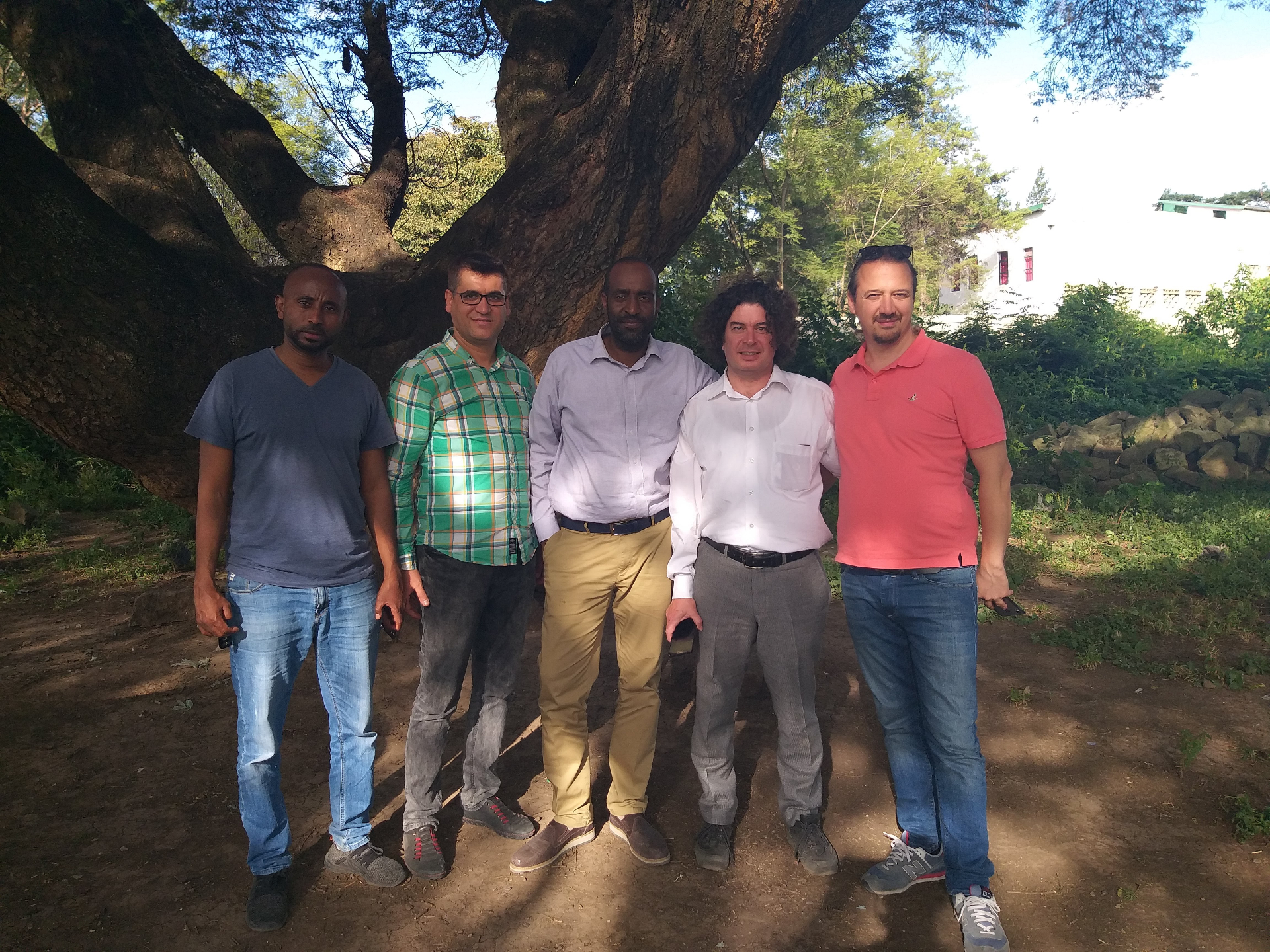 Group of colleagues standing together outdoors beneath a large tree during a working visit.