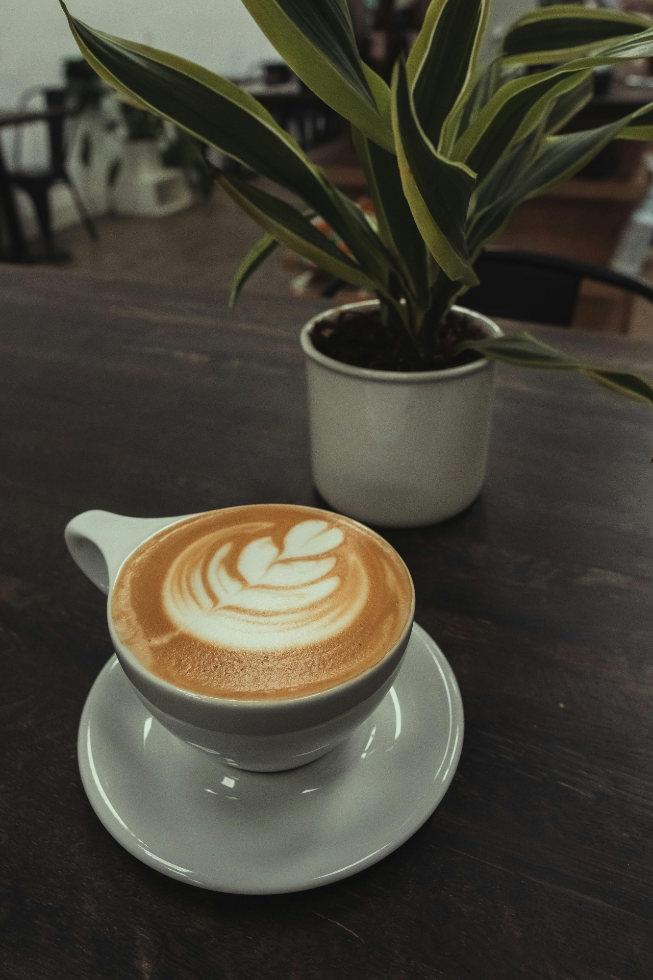 The Tulip, Unspoken